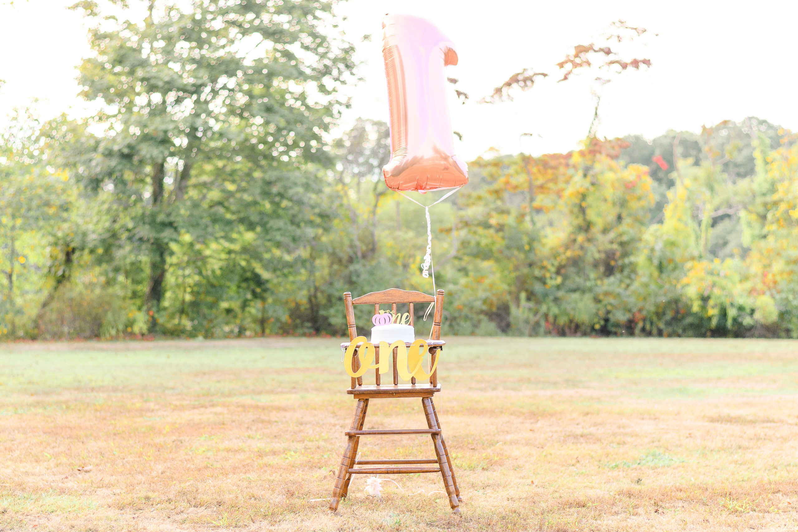 tips for a successful cake smash photoshoot